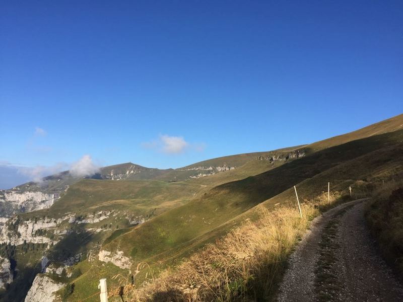 The trail opens up in the last 6km