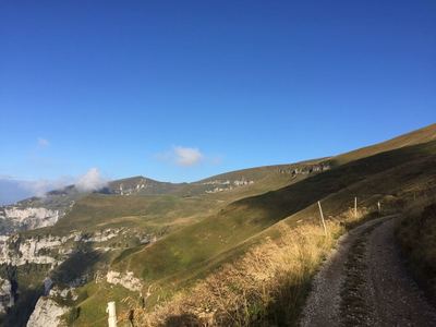 The trail opens up in the last 6km