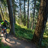 A racer rides past a glimpse out into the bay.