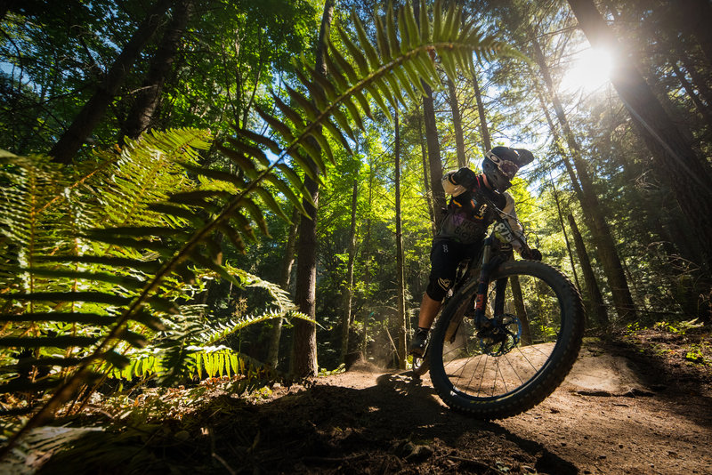 This sandstone slab smack dab in the corner gives riders a warm-up for all the difficult tight corners to follow.