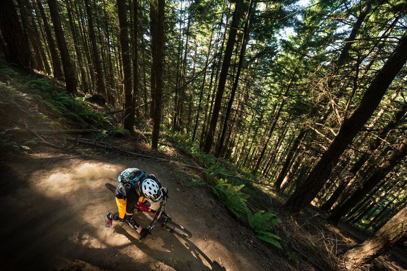 A racer rails around a flat and dusty corner near the end of Two Dollar.