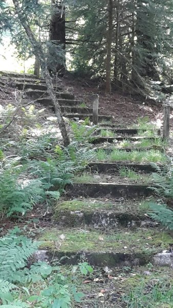 Charles Creek side trip - Old prison steps.  Ride 'em if you feel lucky like Cool Hand Luke.