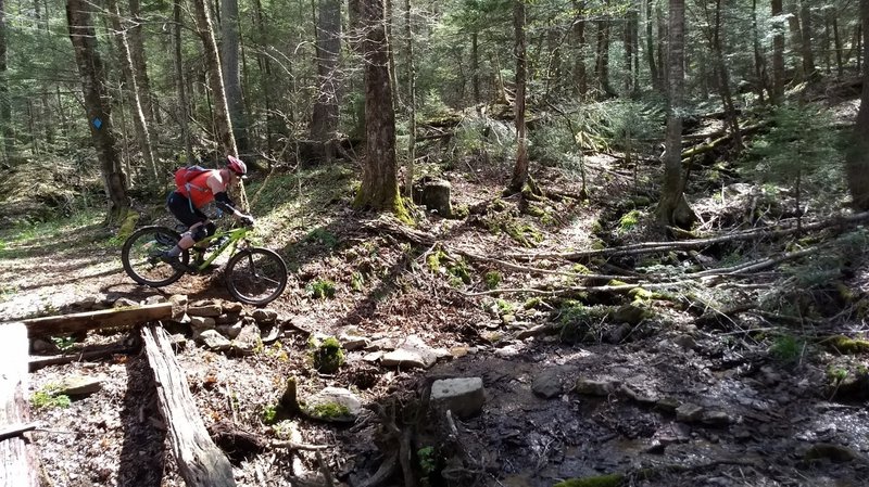 South Fork gully crossing, it's better without the bridge.