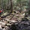 South Fork gully crossing, it's better without the bridge.