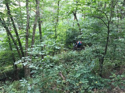 Just after the sharp left turn at the beginning of the downhill section. Get ready for 40 waterbars in the next 1.5 miles. Yeehaw!