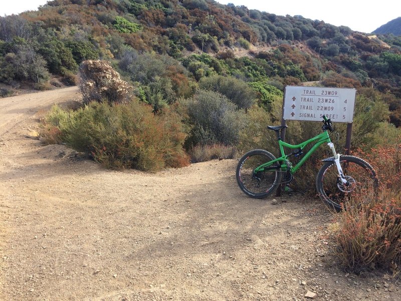 Top of Pratt Trail at Nordoff Ridge Road.