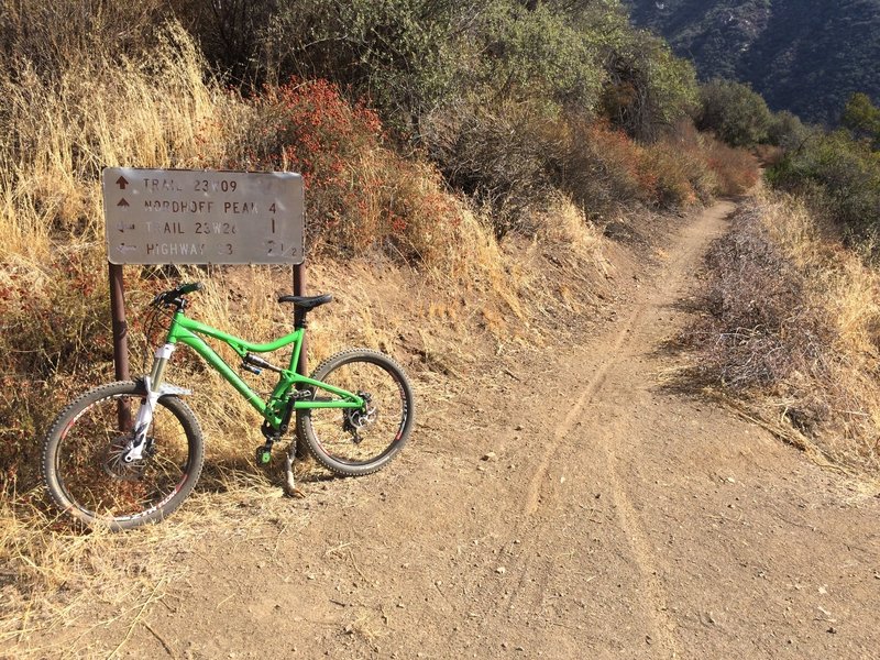 Second Trail intersection on Pratt Trail