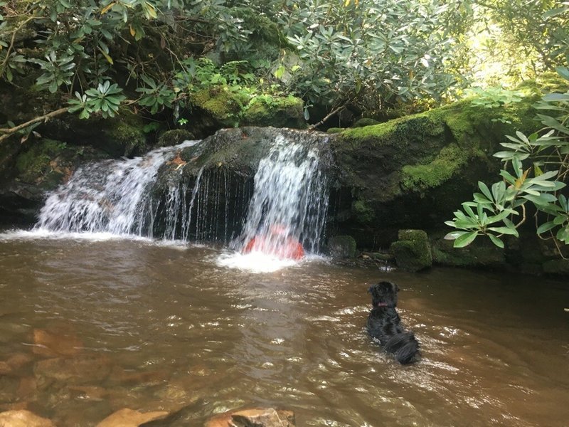 Mid ride swimming hole!