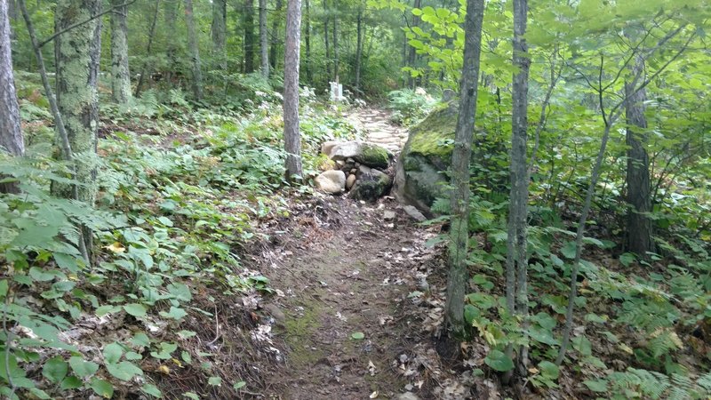 The newest trail section at Mt. Ashwabay makes heavy use of rocks to protect the trail and add interest.