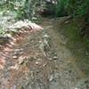 Some of the rocky terrain you'll find on Thrift Cove Trail