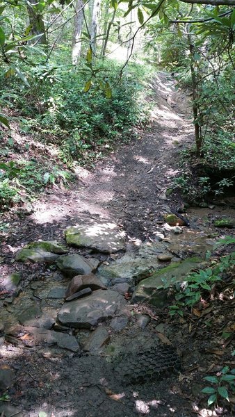 Stream crossing after a steep downhill.