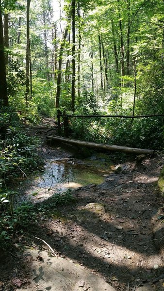 Hike-a-Bike Bridge