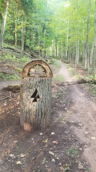Nifty things the trail network does when trees fall