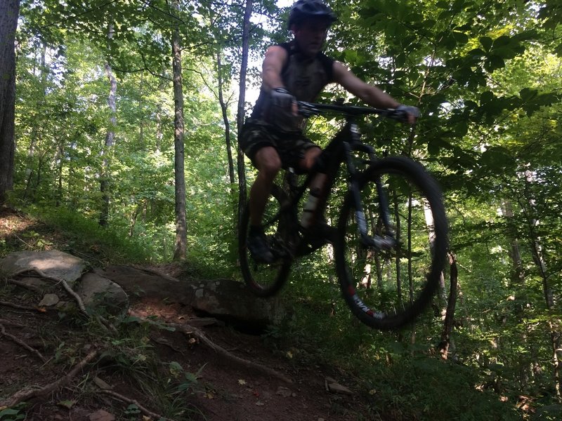 RJ Roush ripping down Faceplant; an iconic section of trail that has made Eleanor Park famous to many mountain bikers around the region.