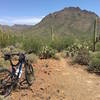 Up on a small saddle looking east towards Golden Gate Mt.