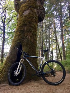 Righteous tree. Some cool things to see!