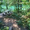 Quiet secluded picnic spots hidden around lake