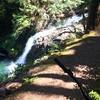 Upper Falls on Siouxon Creek.