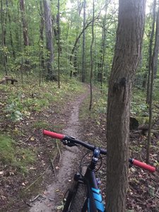 Three rivers hot sale mountain bike trails