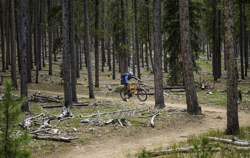 Marmot Passage has great downhill in both directions.