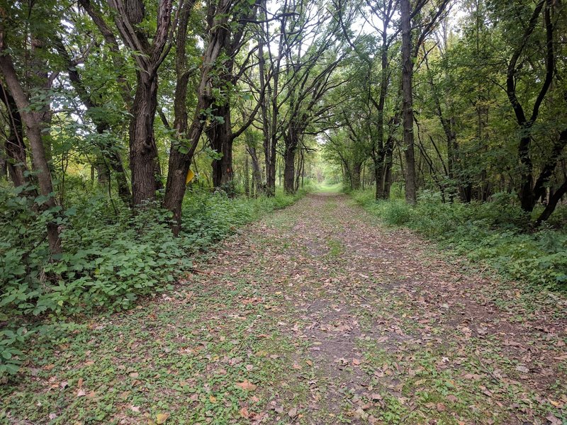 start of Mdewakantun Trail.