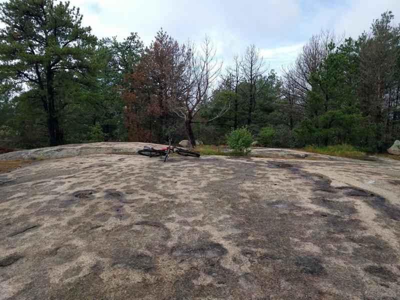 Acapulco Rock Slab - at Christmas time the tree will often have ornaments on it.