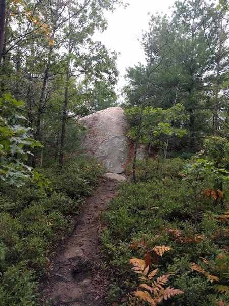 Duke's Memorial to the right of one of the steepest rollers at Lynn. Don't touch that front brake :)