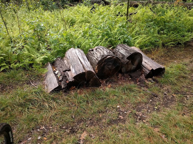 Reusing fallen trees for making rollers.