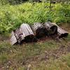 Reusing fallen trees for making rollers.