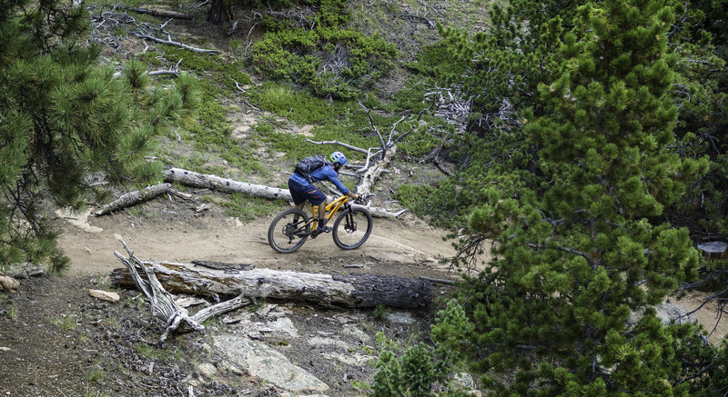 Smooth switchbacks starting the downhill on Marmot Passage.