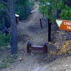 Start of Cherum Peak.