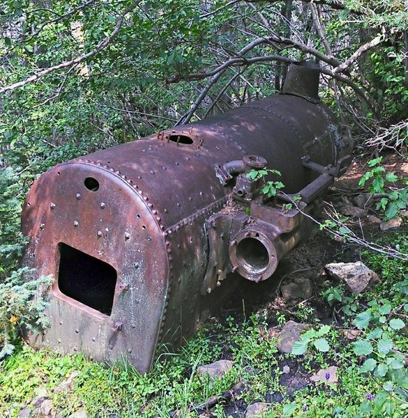 Steam boiler that apparently powered a sawmill