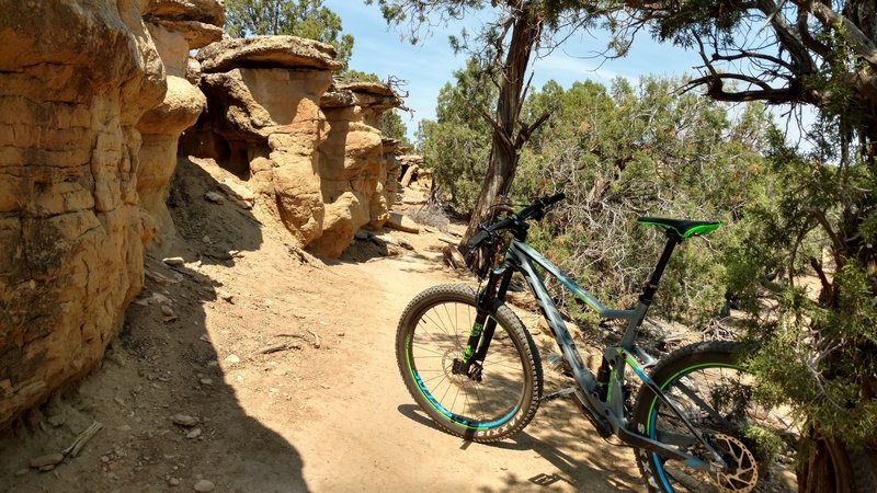 Phil's World - Cortez, CO - Heading up towards LemonHead and Main Loop