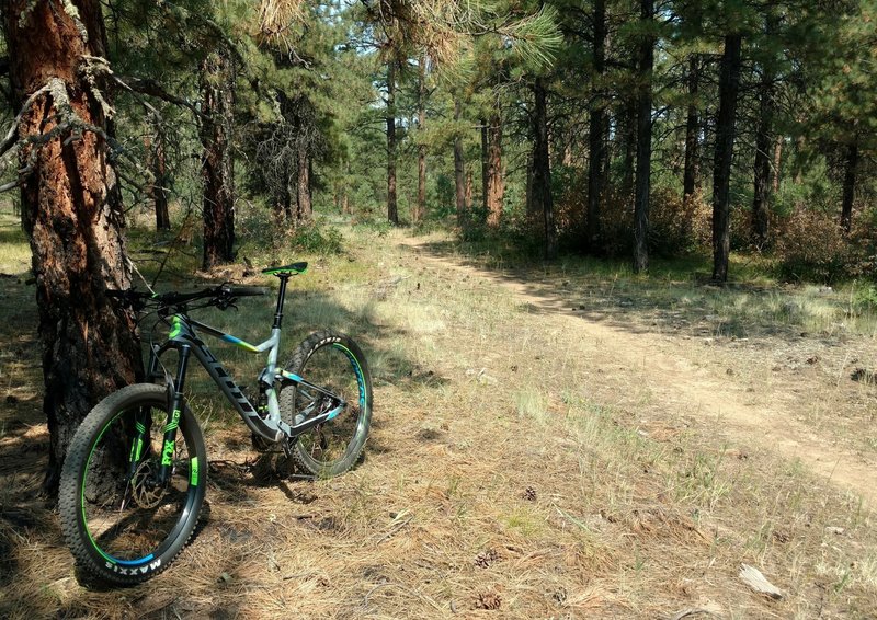 Turkey Springs Outer Loop - Pagosa Springs, CO