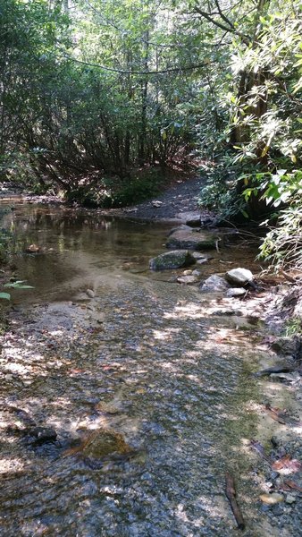 You'll have to carry your bike over Briery Fork Creek.