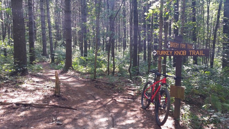 Bottom of Turkey Knob Trail