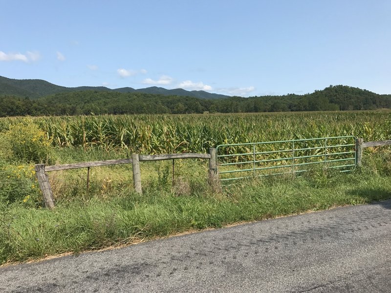 A view of the ridgeline