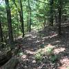 Singletrack Shenandoah Mountain Trail