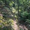 Shenandoah Mountain Trail