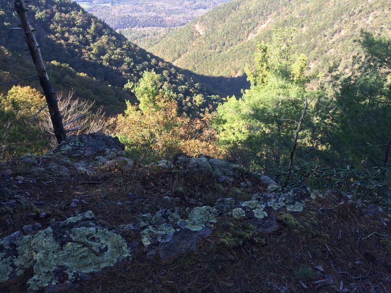 Looking west towards Marlbrook