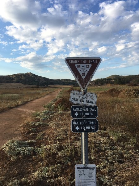 Start of the Rattlesnake Trail.