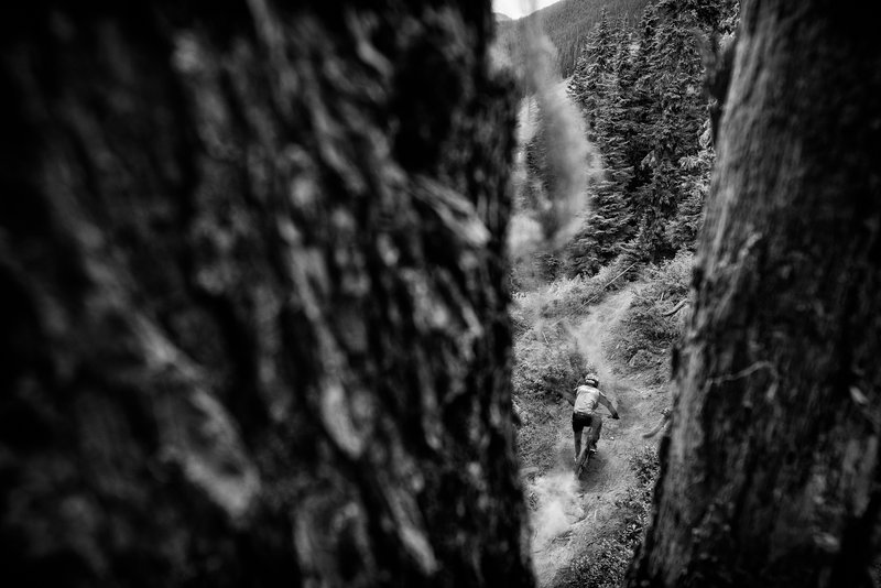 Weston Potter leaves behind a dirt contrail during the NW Cup.