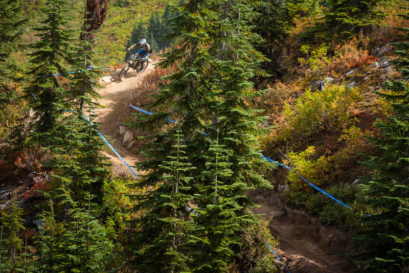 A racer turns the bend near the bottom of Slingshot Wookie.