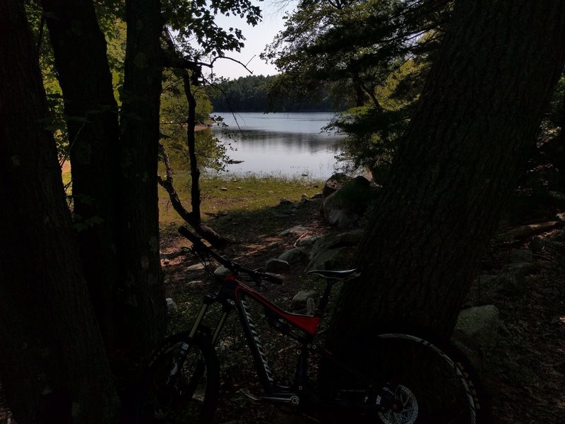 Pretty view of the lake on Overlook Trail.