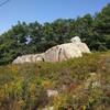 The iconic Lynn Woods boulder. People actually ride up and down this boulder block.