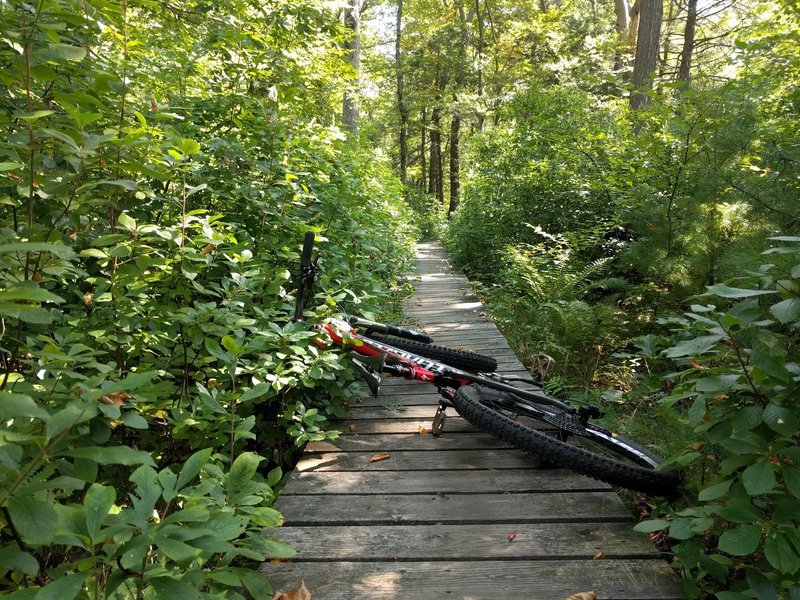 The meeting house swamp boardwalk