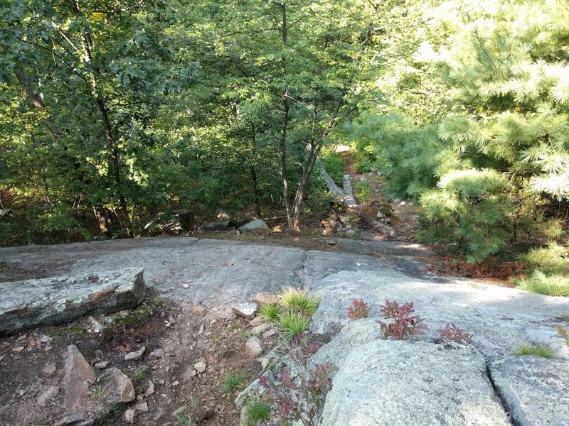 Yes, riders go both down AND up this long, steep rock slab. At the bottom is the Tomahawk bridge (skinny).