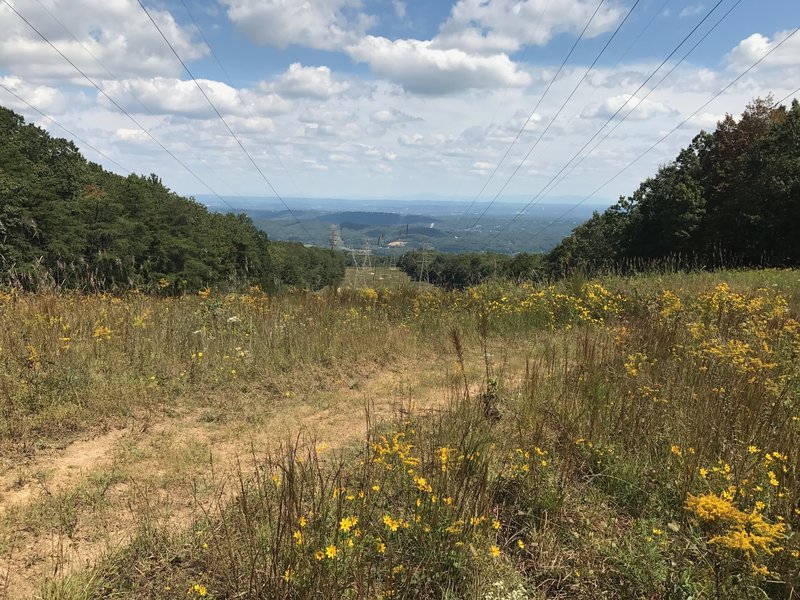 Powerline crossing on the CCT.