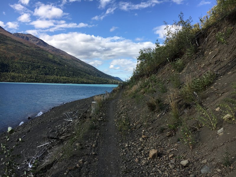 Section of non-motorized singletrack.