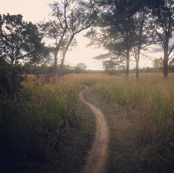 Palos trail leading to late-summer meadow.